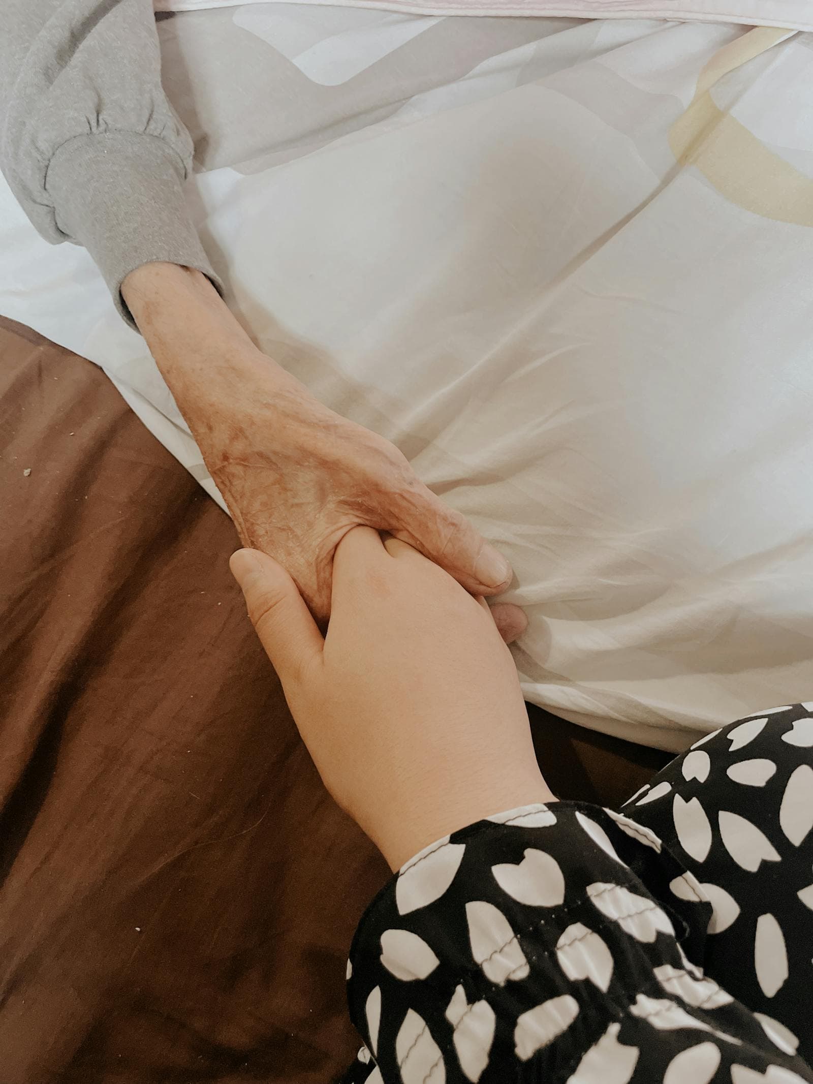 Read the blog post: Sundowning Support for Alexandria Families